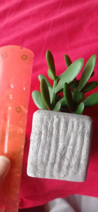 Planta artificial decorativa con iman