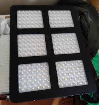 Armario Cultivo 250x250 y dos focos
