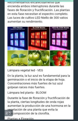 Armario Cultivo 250x250 y dos focos