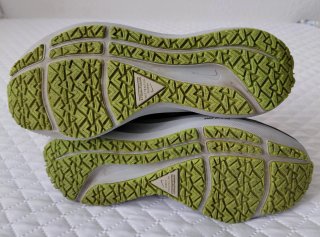 Nike Air Zoom Pegasus 37 Shield Talla 37