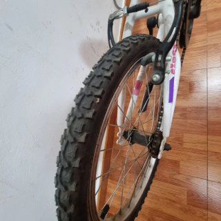 Bicicleta DENBIKE FIRST 20