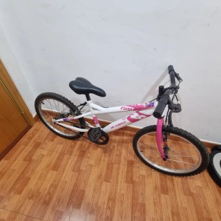Bicicleta DENBIKE FIRST 20