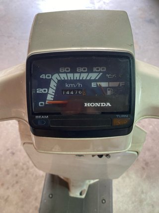 Honda Scoopy Beige/Blanco