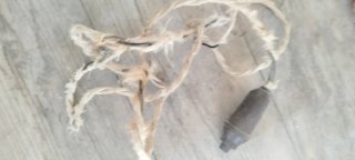 Interruttore vintage in bachelite