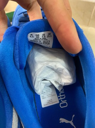 Puma