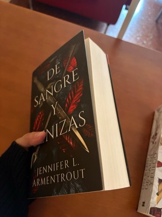 Libros del 1 al 5 de la saga “De Sangre y Cenizas”