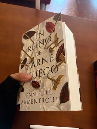 Libros del 1 al 5 de la saga “De Sangre y Cenizas”