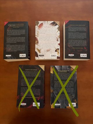 Libros del 1 al 5 de la saga “De Sangre y Cenizas”