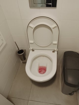 Limpieza Profesional Hogar Cocina Baño brillantes