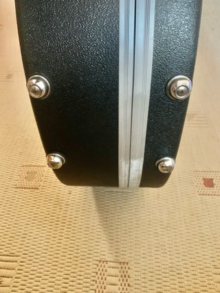 Estuche Gator para Guitarra tipo 335 o similar