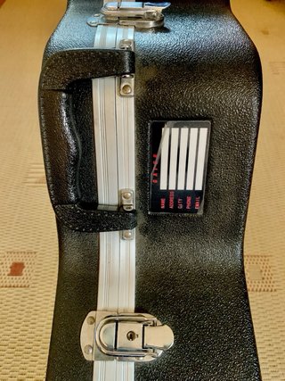 Estuche Gator para Guitarra tipo 335 o similar