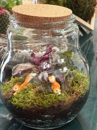 Terrario Jardín Eterno 16cm