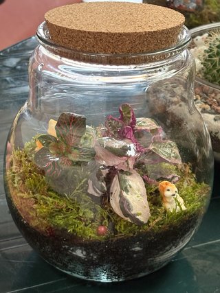 Terrario Jardín Eterno 16cm
