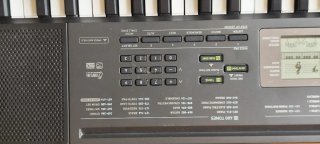 Teclado Casio CTK-496