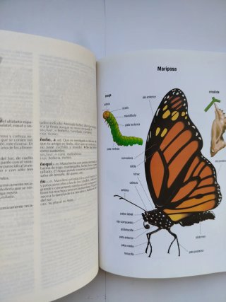 Diccionario del estudiante LAROUSSE