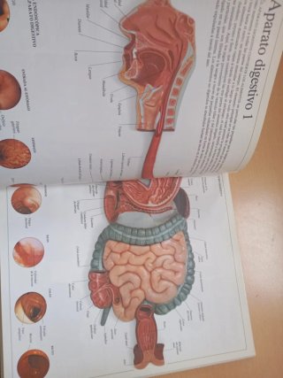 Enciclopedia visual de los seres vivos