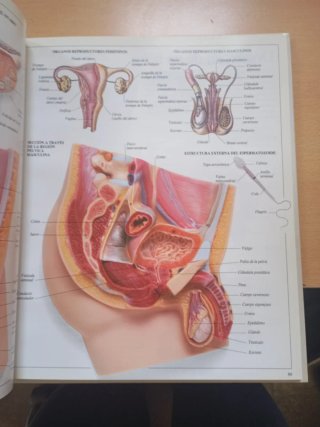 Enciclopedia visual de los seres vivos