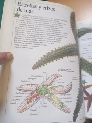 Enciclopedia visual de los seres vivos