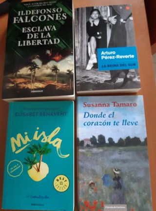 Lote 4 novelas