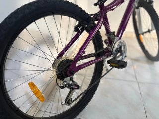 Bici Coluer Lucy 240 Lila