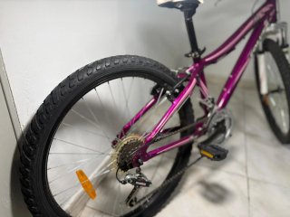Bici Coluer Lucy 240 Lila