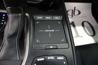 Lexus UX 250H PREMIUM 2WD