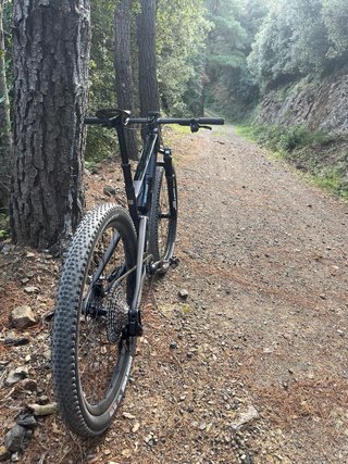 Mondraker F-Podium RR 2026