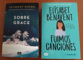 Lote 2 libros