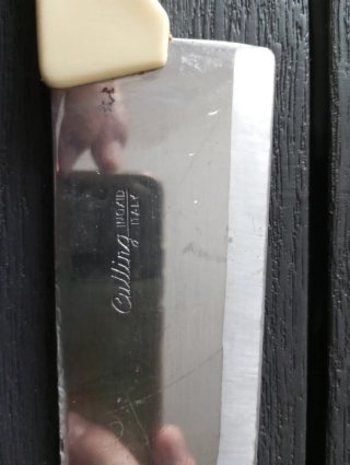 Coltello da cucina in metallo e plastica