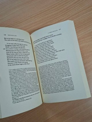 La terra desolata- T.S.Eliot