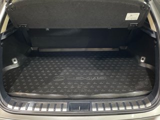 Lexus NX 4x4