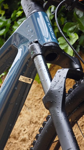 Focus Raven 8.7 2025 Carbono