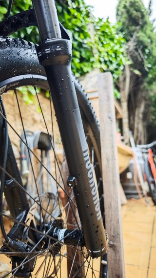 Focus Raven 8.7 2025 Carbono