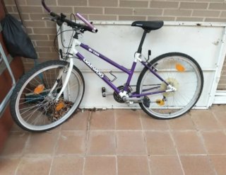Bicicleta Daewoo Morada