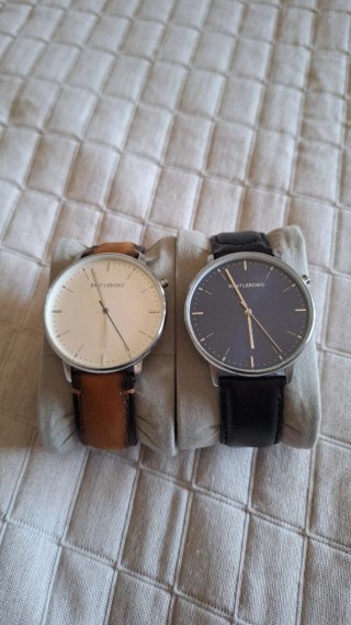 2 Relojes Bratleboro Canaima