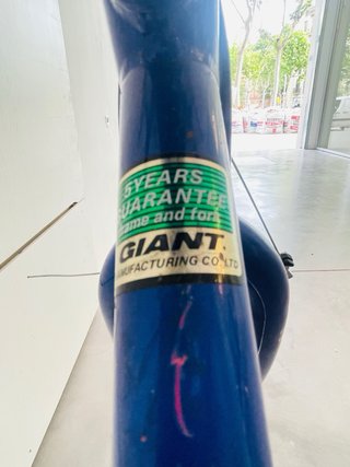 Bicicleta Mtb Giant Taglia M