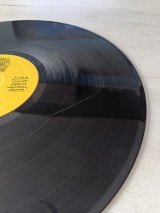 Vinilo LP Badana Rock de Cloaca