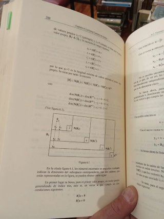 Curso de Álgebra Lineal - Eunsa