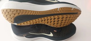 Nike Air Winflo 10 Negro y Dorado
