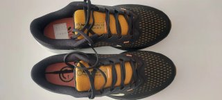 Nike Air Winflo 10 Negro y Dorado