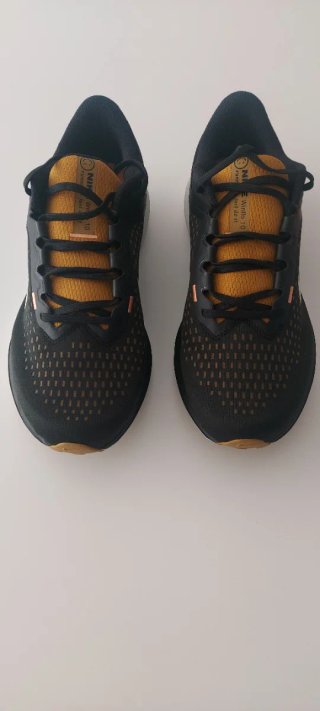 Nike Air Winflo 10 Negro y Dorado