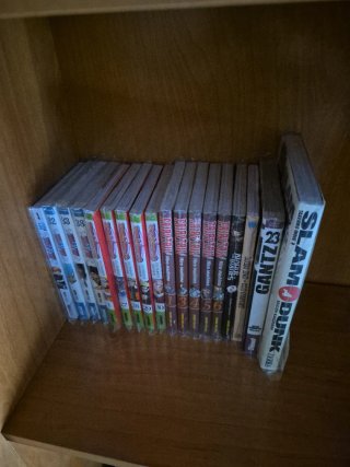 Lote Manga variado
