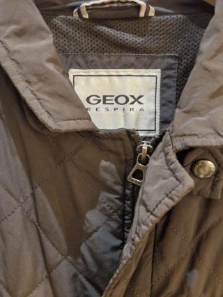 Chaqueta Geox acolchada hombre