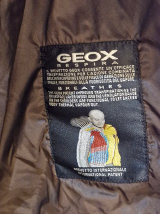 Chaqueta Geox acolchada hombre