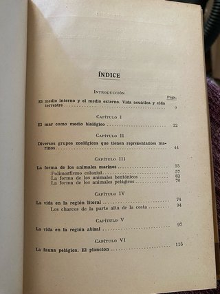 Enrique Rioja./ los animales marinos
