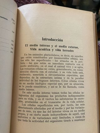 Enrique Rioja./ los animales marinos
