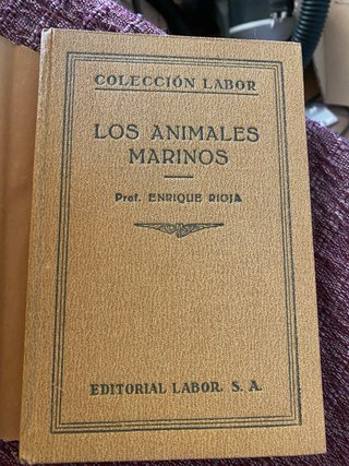 Enrique Rioja./ los animales marinos