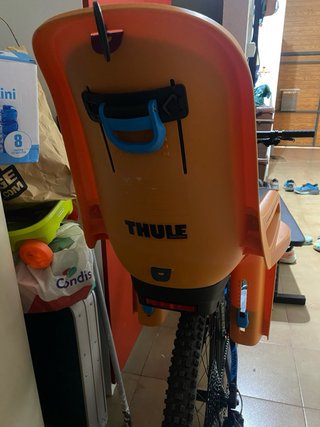 Thule RideAlong 2 Sillita Bici Niños