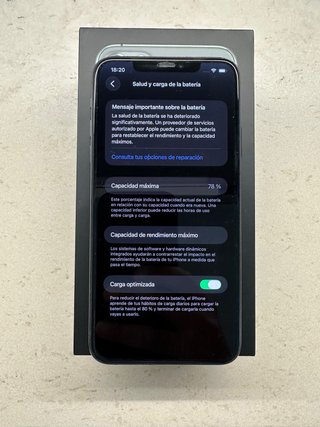 iPhone 11 Pro Max 256GB Verde/Gris