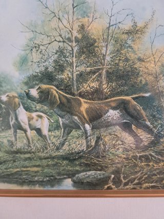 Cuadro vintage perros y ave